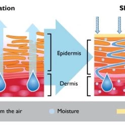 O'Keeffe's Lip Repair - Original 6 O'Keeffe's Lip Repair - Original -Home Food Life Store 10150003 2