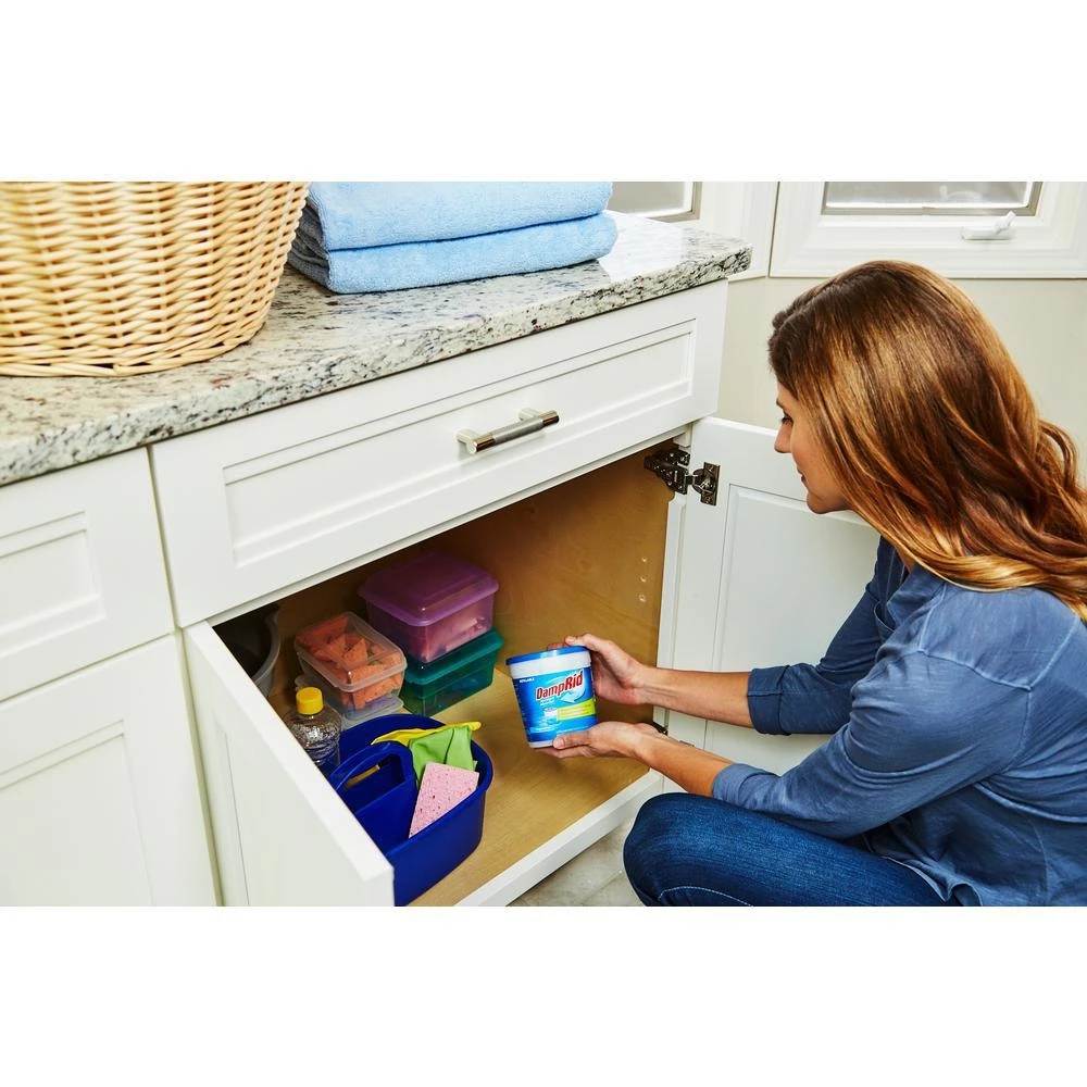 Damp Rid Refillable Moisture Absorbers 8 Damp Rid Refillable Moisture Absorbers - Image 6