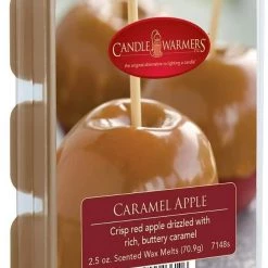 Candle Warmers Wax Melts, 2.5oz -Home Food Life Store 49460242