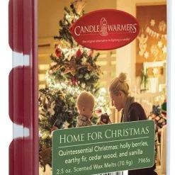 Candle Warmers Wax Melts, 2.5oz -Home Food Life Store 49460471
