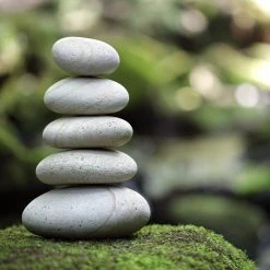 Candle Warmers Zen Garden 2.5 oz Wax Melts -Home Food Life Store 49460520 3