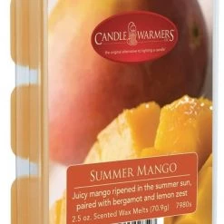 Candle Warmers Wax Melts, 2.5oz -Home Food Life Store 49460602