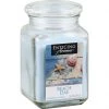 Empire Candles Enticing Aromas Collection, 16oz