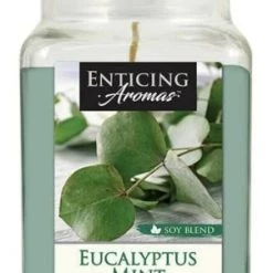Empire Candles Enticing Aromas Collection, 16oz -Home Food Life Store 56827056