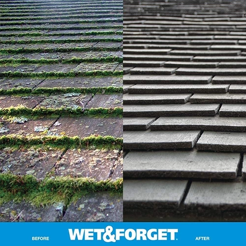 Wet & Forget 805048 Moss, Mold, Mildew and Algae Stain Remover Hose End – 48 oz 6 Wet & Forget 805048 Moss, Mold, Mildew and Algae Stain Remover Hose End – 48 oz - Image 4