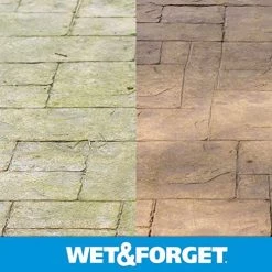 Wet & Forget 805048 Moss, Mold, Mildew and Algae Stain Remover Hose End – 48 oz 15 Wet & Forget 805048 Moss, Mold, Mildew and Algae Stain Remover Hose End – 48 oz -Home Food Life Store 805048 7