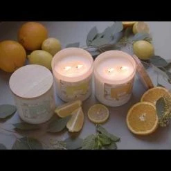 Candle Warmers 15 oz. Aromatherapy Candle -Home Food Life Store hqdefault 32 34