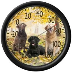 Taylor 13.25" Thermometer -Home Food Life Store labrador 1