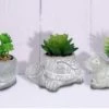 Alpine Cement Animal Pot w/Succulent - Assorted -Home Food Life Store wqa1214abb 1